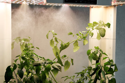 Hydroponic system Hypro Planter H5B