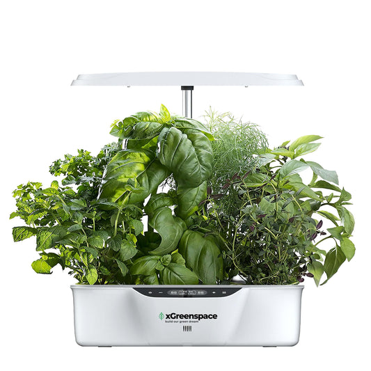 xGreenspace HyperBlock 12pc S12A