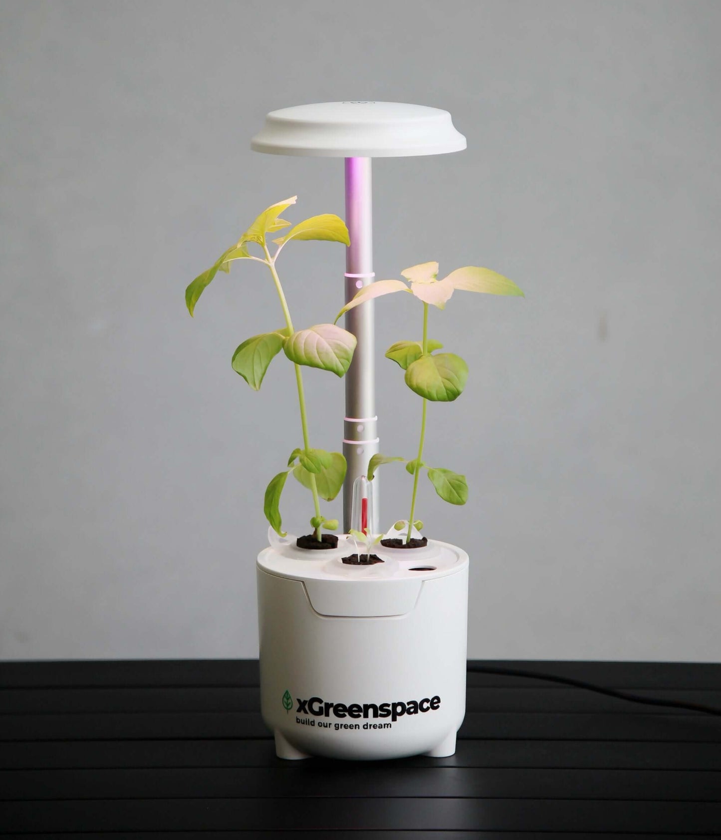 xGreenspace MiniBlock 3pc Y03B hydroponic system with three growing pods and LED light for growing plants.