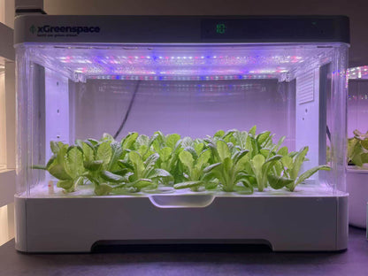 xGreenspace HyperBlock 30pc C30