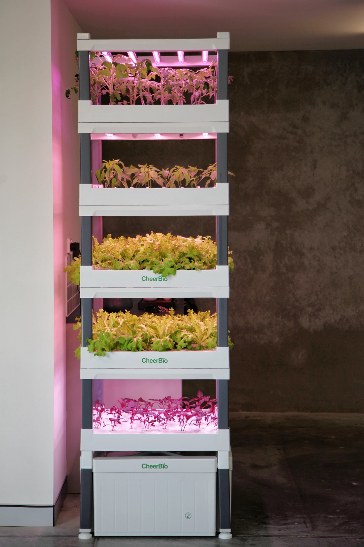 CheerBio Plant Block 5 Layers