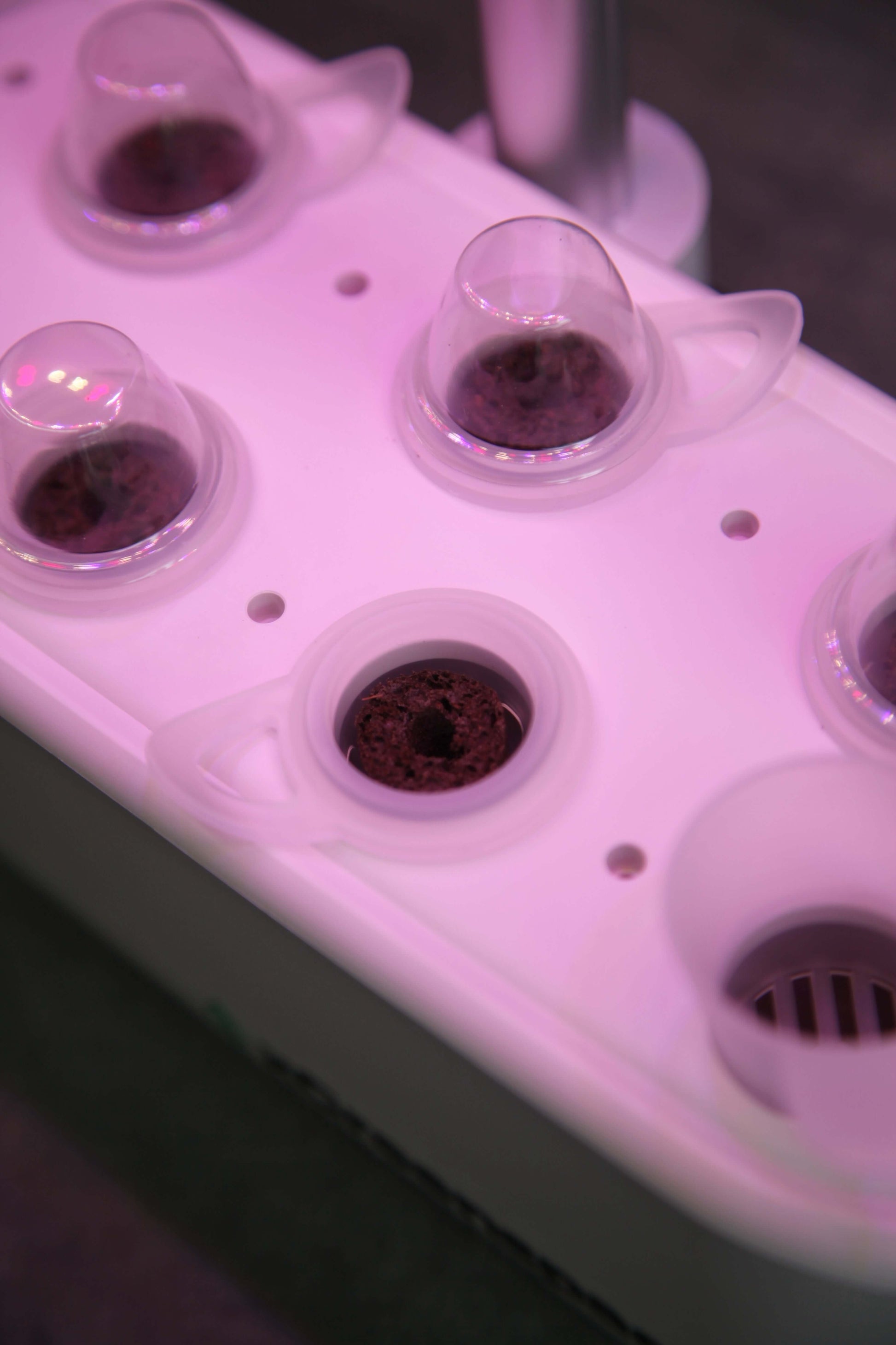 Close-up view of the xGreenspace MiniBlock's 8 grow pods with transparent covers, designed for hydroponic gardening.