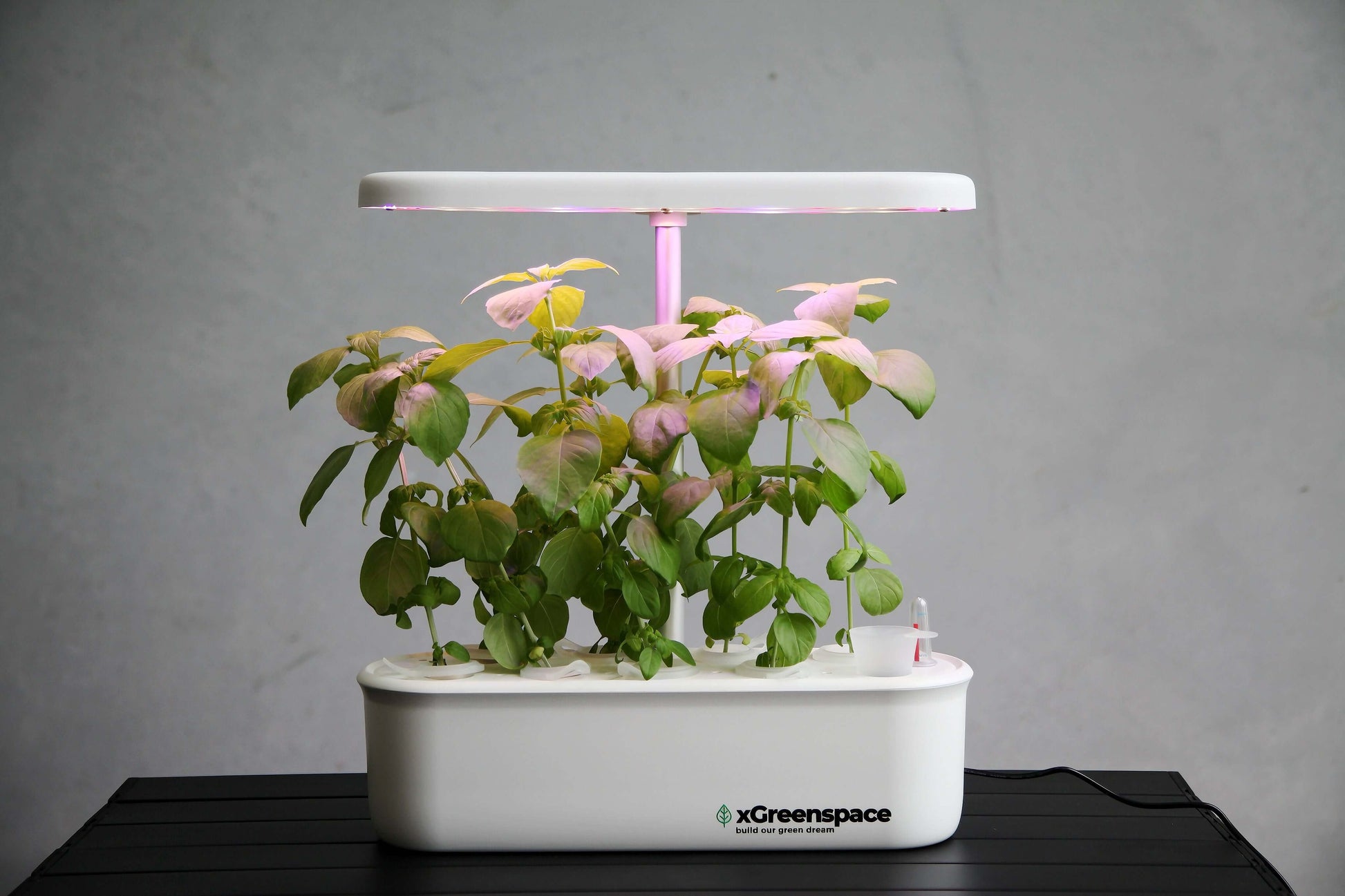 xGreenspace MiniBlock hydroponic machine with plants growing under LED light, designed for smart home gardening.