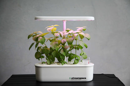 xGreenspace MiniBlock hydroponic machine with plants growing under LED light, designed for smart home gardening.