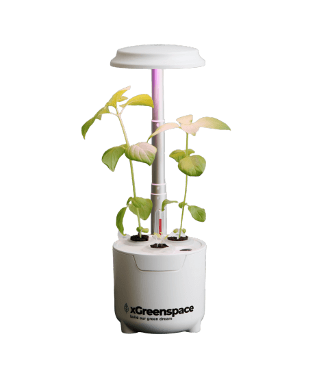 xGreenspace MiniBlock 3pc Y03B hydroponic system with LED light and growing plants in compact design.